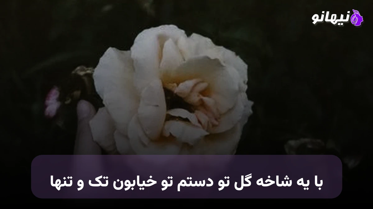 دانلود آهنگ با یه شاخه گل تو دستم تو خیابون تک و تنها